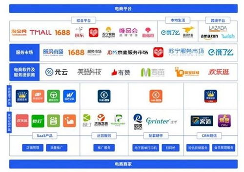 科創(chuàng)板迎來(lái)第100家上市公司，電子商務(wù)平臺(tái)服務(wù)企業(yè)開(kāi)盤(pán)大漲177.5%